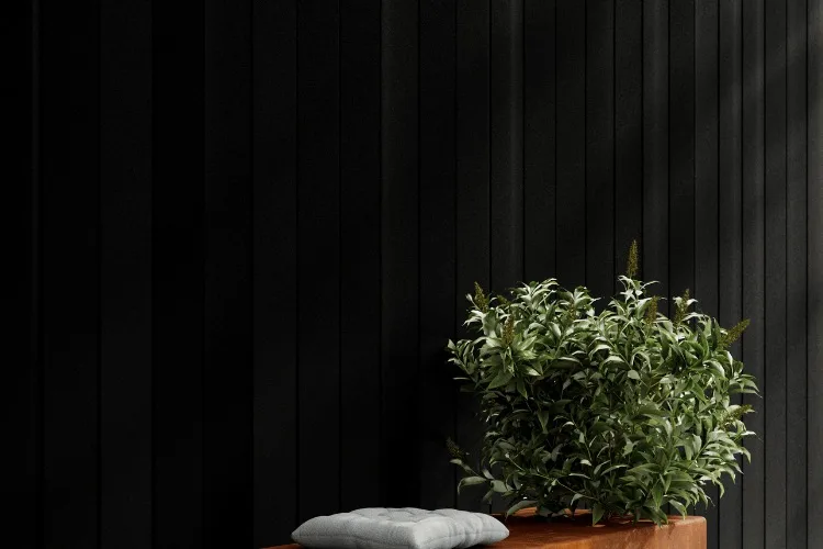 Black ribbed BAS Panels facade cladding with a corten planter in front.